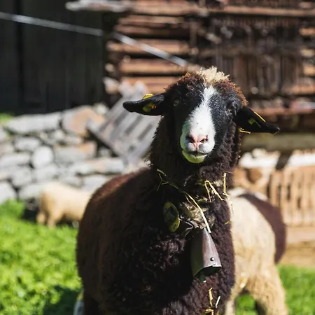Hébergement de vacances Haus Valtellina *