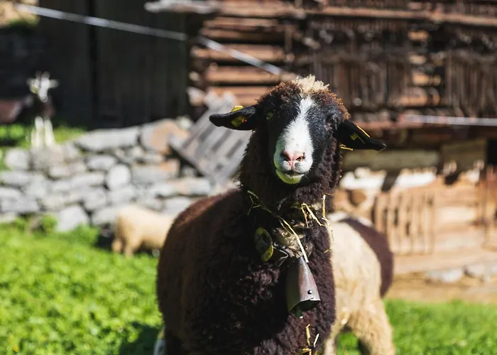 Hébergement de vacances Haus Valtellina *
